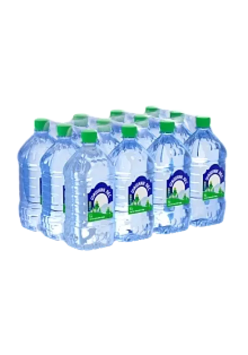 Вода минеральная питьевая "Шишкин лес" 1л photo 2